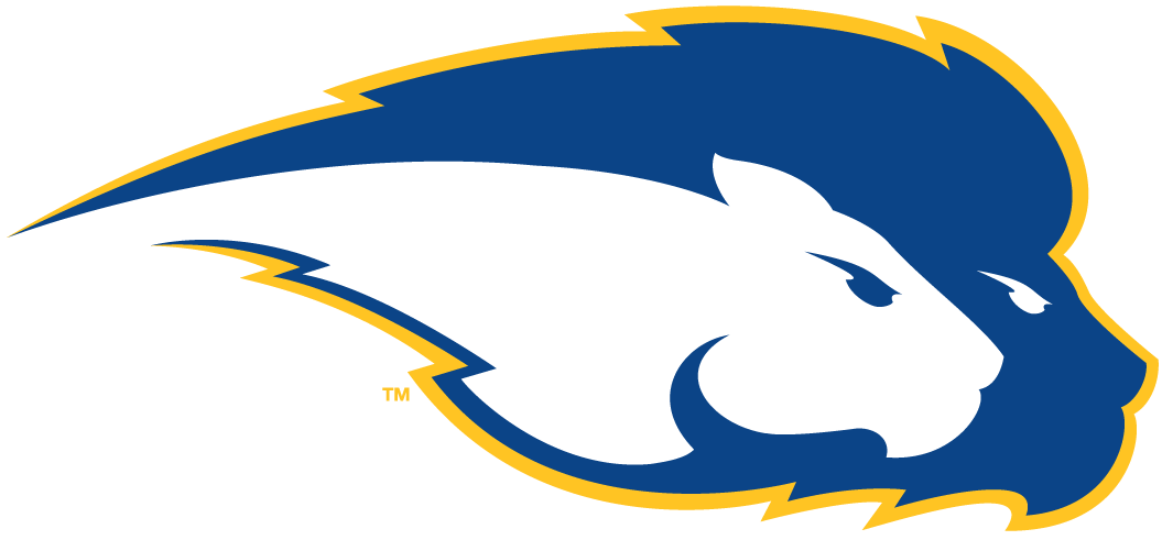 Hofstra Pride 2005-Pres Secondary Logo diy DTF decal sticker